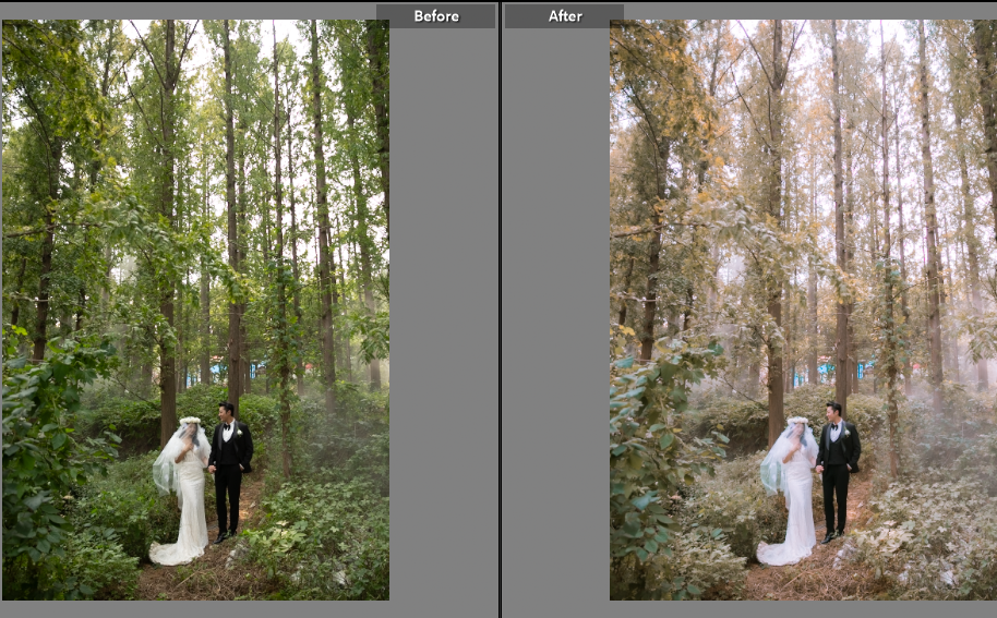 shopthietke com anh 5