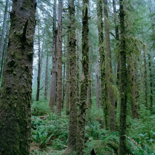 shopthietke com fuji 400h hero2