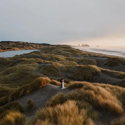 Hệ Thống Hậu Kỳ Đám Cưới Toàn Diện 2026 – 8 Nền Tảng Màu Cinematic Và 50+ Công Cụ Tối Ưu (XMP)