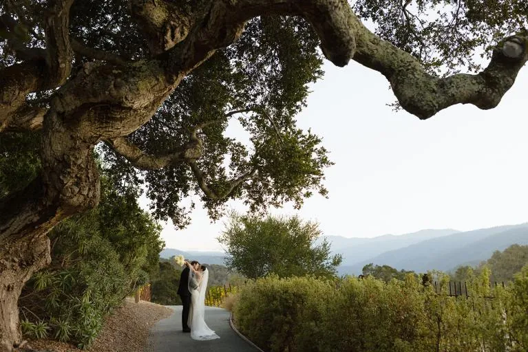 shopthietke com modern nostalgia 01 collage image web