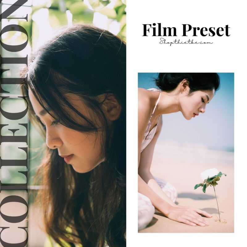 Độc Quyền: Tích Hợp Hệ Sinh Thái Màu Sắc Từ Các Dòng Máy Ảnh Huyền Thoại! (XMP)