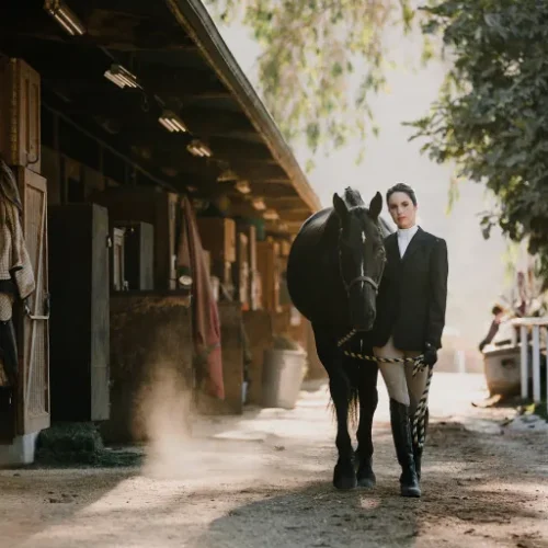 shopthietke com vf pure 02 collage image web