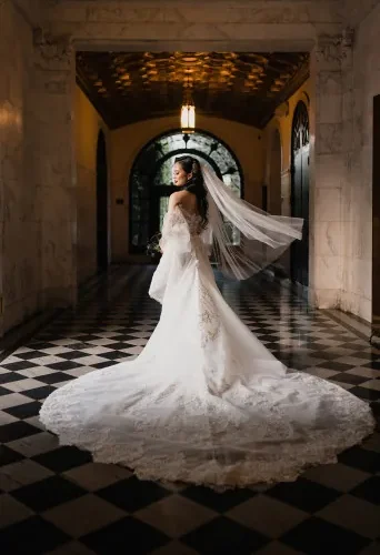 shopthietke com vf pure 15 collage image web