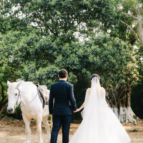 shopthietke com z318 32 web