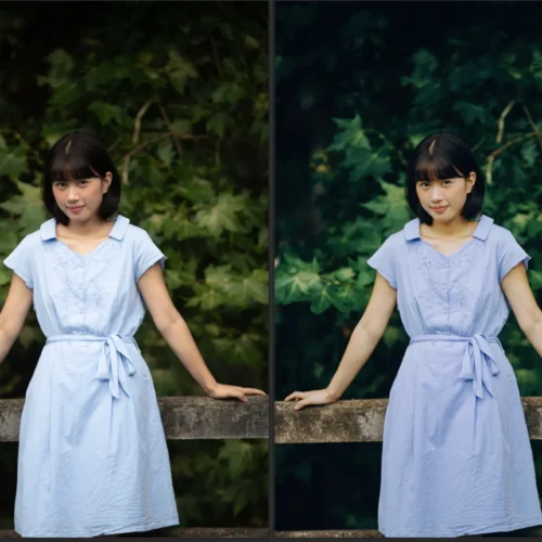 Bộ Preset Lý Khuyên Khuyên - Giả Lập Màu Máy Quét Phim Chuyên Dụng Cho Ảnh Chân Dung (XMP) 22 shopthietke com Shopthietke.com 40