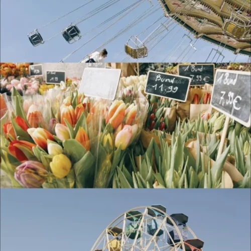Preset Tinh Chỉnh – Bộ Sưu Tập 44 Gói Preset NOMO CAM | Giả Lập Màu Máy Phim Instant Và Điên Ảnh Cho LR, PS 12 shopthietke com Shopthietke.com 59