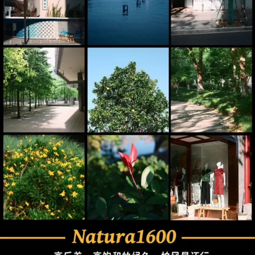 22 Cấu Hình Màu Giả Lập Phim Chuyên Sâu Cho Máy Ảnh Nikon Z (NP3) 36 shopthietke com 11 web