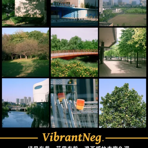 22 Cấu Hình Màu Giả Lập Phim Chuyên Sâu Cho Máy Ảnh Nikon Z (NP3)