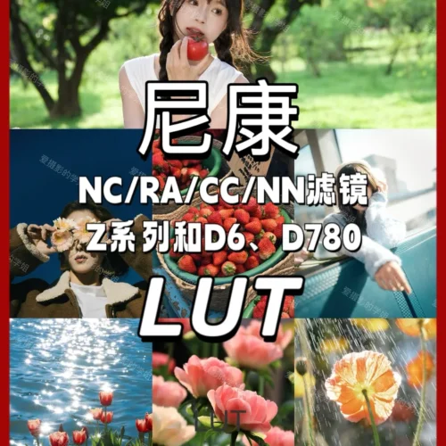 83 Công Thức Màu NCP Giả Lập Màu Phim Cho Máy Ảnh Nikon Z Series Thế Hệ Mới (NCP)