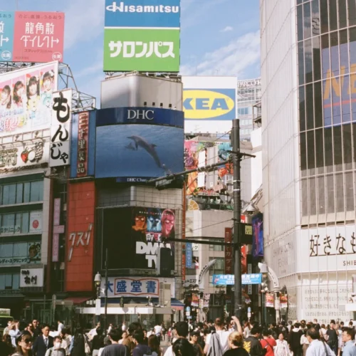 Trọn Bộ Màu Phim Kodak Portra & Ektar – Bộ Preset Giả Lập Màu Phim Chuyên Nghiệp Đỉnh Cao (XMP/CUBE/ICC) 27 shopthietke com Shopthietke.com 220