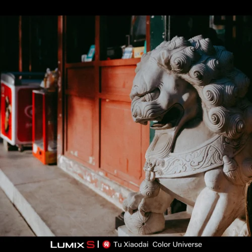 LUT Và Preset Xử Lý Ảnh Chân Dung Chuyên Sâu Màu Điện Ảnh Hoài Cổ Cao Cấp (XMP/DNG/CUBE) 16 shopthietke com Shopthietke.com 38