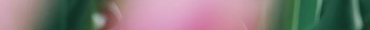 shopthietke com Shopthietke.com 411