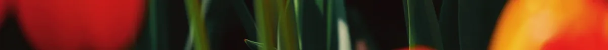 shopthietke com Shopthietke.com 415