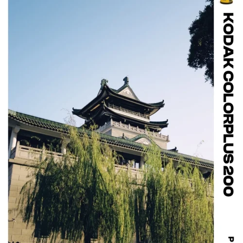 Bản Tinh Chỉnh Mô Phỏng Tone Kodak ColorPlus 200: Từ "Kẻ Bị Ruồng Rẫy" Đến Biểu Tượng Của Nắng Mùa Hè 22 shopthietke com Shopthietke.com 472