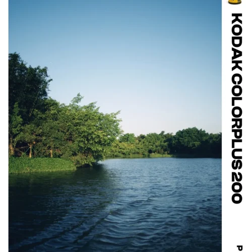 Bản Tinh Chỉnh Mô Phỏng Tone Kodak ColorPlus 200: Từ "Kẻ Bị Ruồng Rẫy" Đến Biểu Tượng Của Nắng Mùa Hè 21 shopthietke com Shopthietke.com 474