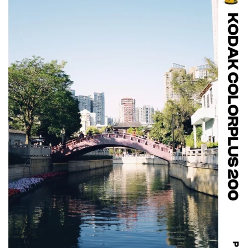 Bản Tinh Chỉnh Mô Phỏng Tone Kodak ColorPlus 200: Từ "Kẻ Bị Ruồng Rẫy" Đến Biểu Tượng Của Nắng Mùa Hè 28 shopthietke com Shopthietke.com 496