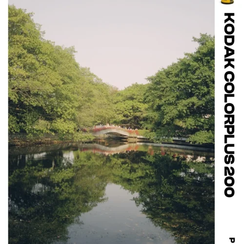 Bản Tinh Chỉnh Mô Phỏng Tone Kodak ColorPlus 200: Từ "Kẻ Bị Ruồng Rẫy" Đến Biểu Tượng Của Nắng Mùa Hè 32 shopthietke com Shopthietke.com 504