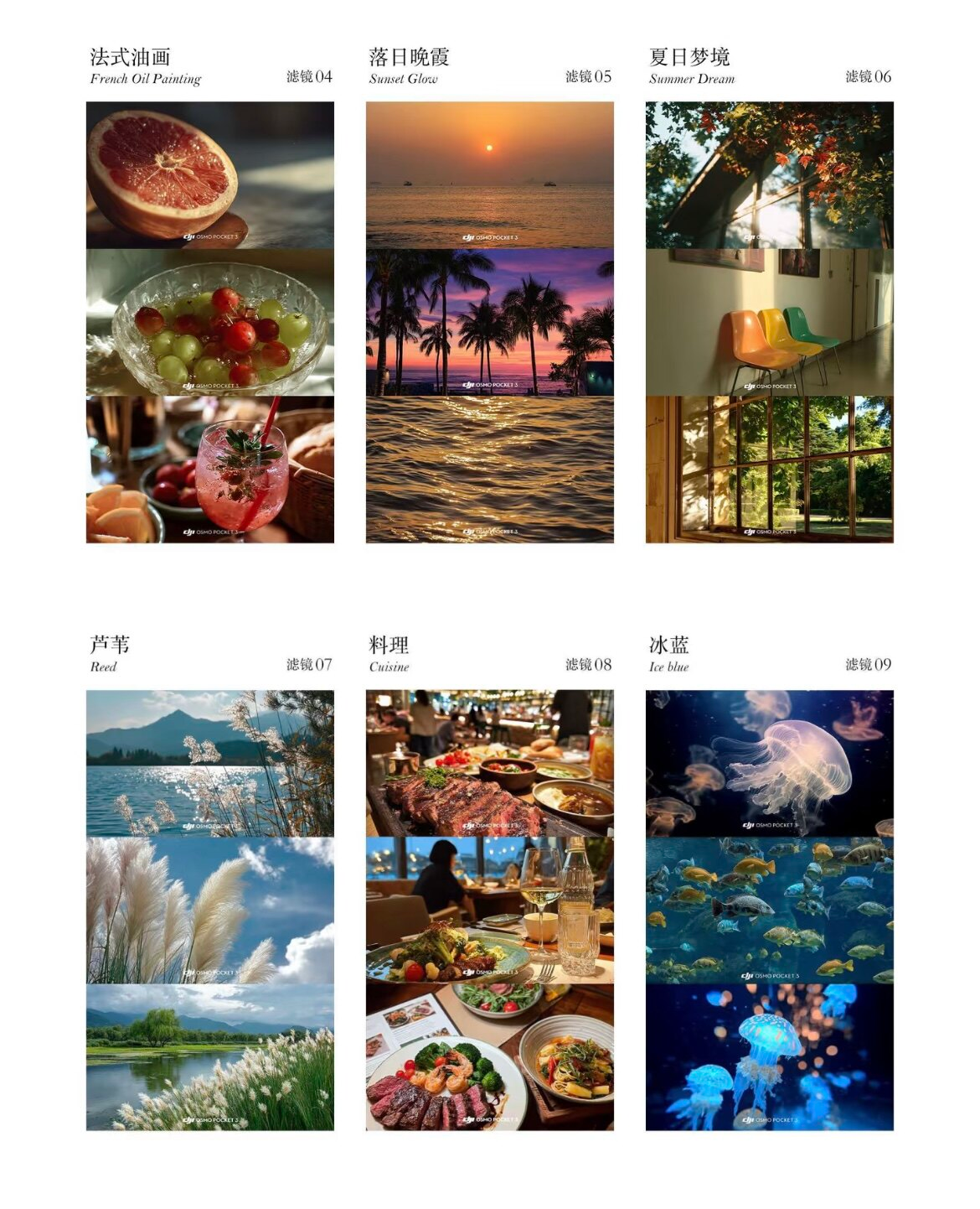 Bộ Sưu Tập 25 LUTs Màu Phim Điện Ảnh Cho Máy Quay Pocket Vlog Thế Hệ Mới (CUBE) 9 thelanb com Thelanb.com 20