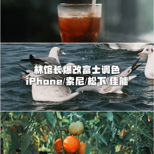 Fujifilm CN & ASTIA Remixed: Mang Màu Sắc Fujifilm Độc Bản Lên iPhone & Camera Chuyên Dụng (CUBE)