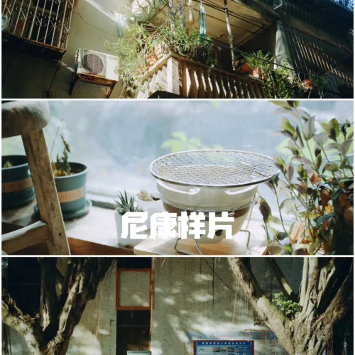 FAKE Ricoh Negative (Vol. 3): Mang Sắc Sắc Độc Bản Của Máy Ảnh Đường Phố Lên Ống Kính iPhone & Camera Chuyên Dụng (CUBE) 15 shopthietke com Shopthietke.com 69