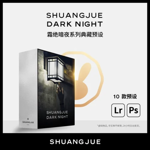 10 Preset Lightroom Tone Đêm Đường Phố Xanh Đen Vàng Kim Shuangjue (XMP Kèm File RAW)