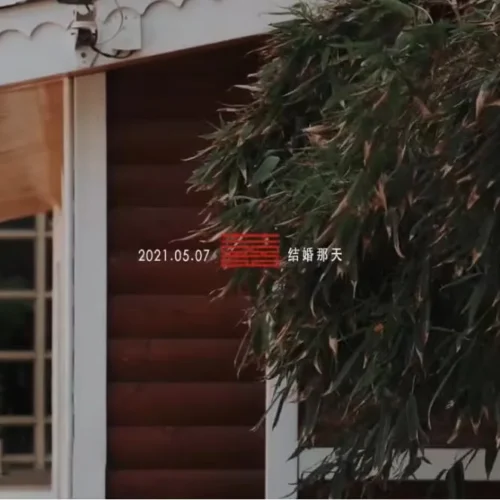 LUT Đám Cưới Phong Cách Phóng Sự Cưới Tone Màu Ấm Áp (CUBE) 22 shopthietke com Shopthietke.com 253