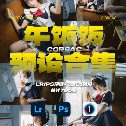 Bộ Preset Chân Dung Tone Nhật Ngọt Ngào LR PS Capture One 2019-2026 (790 Màu + 14Gb RAW Test) (XMP/COS)