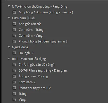 Bộ Preset Màu Phim Cưới Đa Năng Lấy Cảm Hứng Từ NAG Rail 2026 (13 Tone Màu XMP & COSTYLE) 16 shopthietke com anh 17
