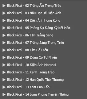 🔥 BLACK PIXEL – FULL 14 BỘ PRESET MÀU CƯỚI 200+ PRESET | BẢN CẬP NHẬT MỚI NHẤT 2026 36 shopthietke com anh 35