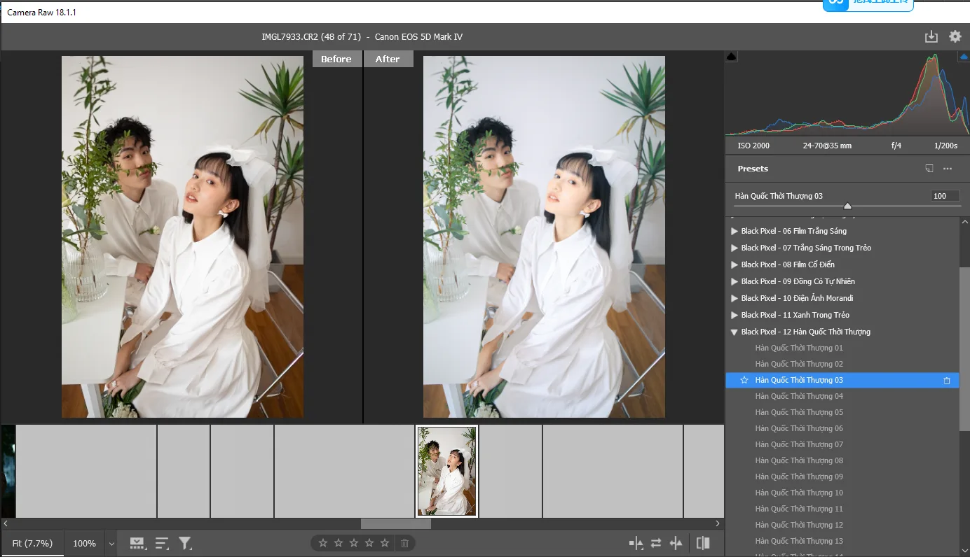 🔥 BLACK PIXEL – FULL 14 BỘ PRESET MÀU CƯỚI 200+ PRESET | BẢN CẬP NHẬT MỚI NHẤT 2026 43 shopthietke com anh 42