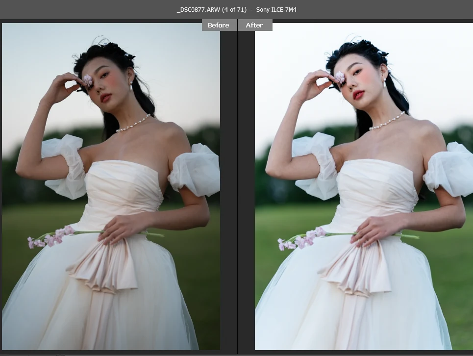 [VShare Preset] Bộ Preset Được Tinh Chỉnh Theo Phong Cách FANTUAN WEDDING COLOR (XMP)