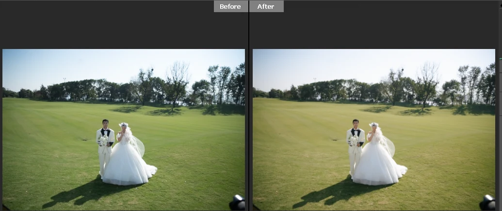 [VShare Preset] Bộ Preset Được Tinh Chỉnh Theo Phong Cách FANTUAN WEDDING COLOR (XMP)