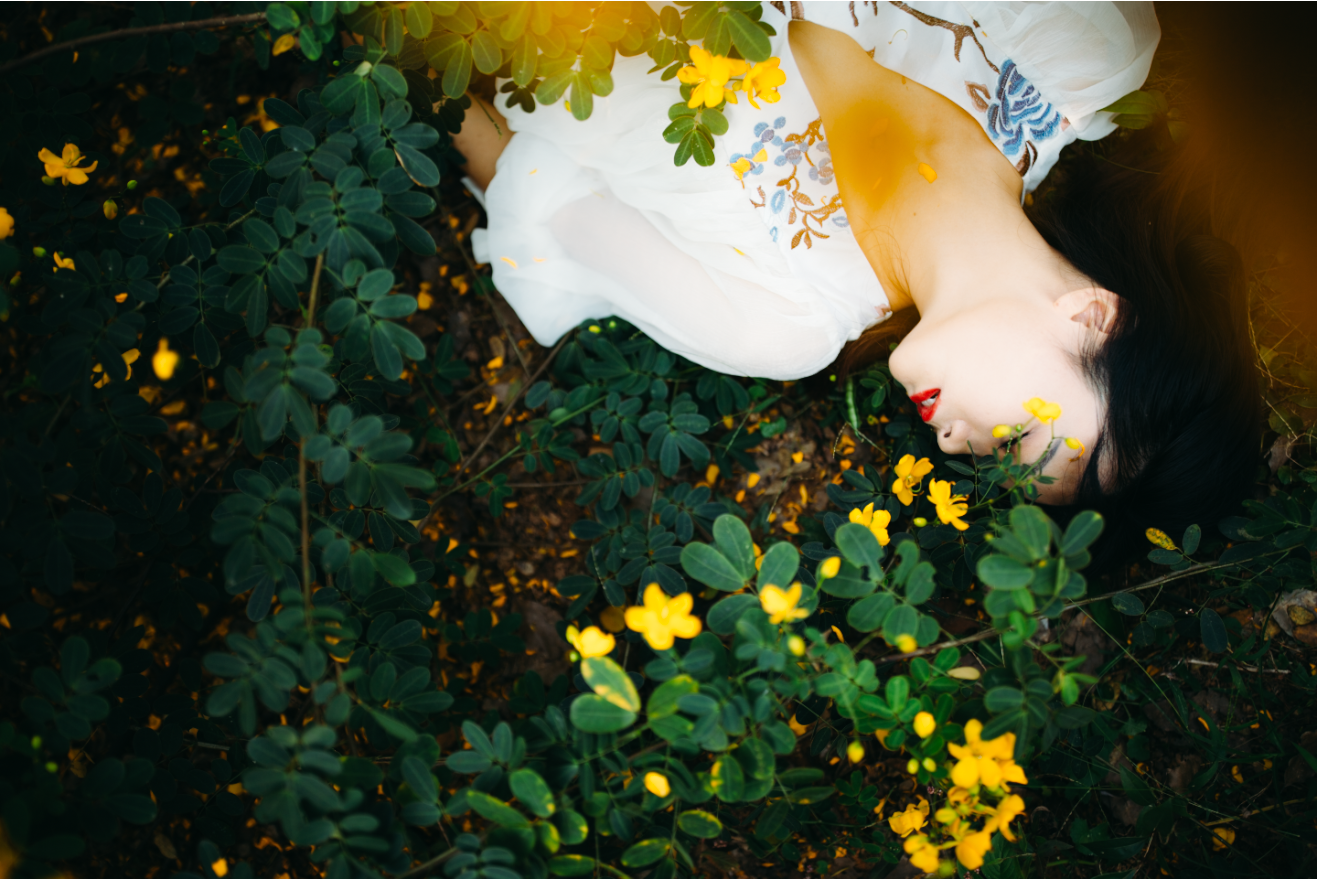 Bộ Sưu Tập Preset & Profile Màu Phim Tổng Hợp 2026: Tinh Hoa Điện Ảnh & Thanh Xuân Bất Tận Thiết Kế Bởi Shopthietke.com – Ảnh Sau 1