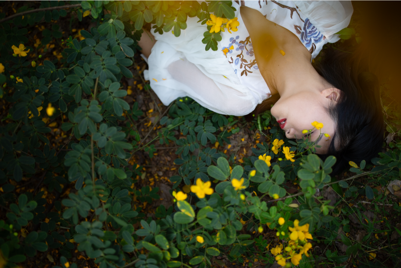 Bộ Sưu Tập Preset & Profile Màu Phim Tổng Hợp 2026: Tinh Hoa Điện Ảnh & Thanh Xuân Bất Tận Thiết Kế Bởi Shopthietke.com – Ảnh Trước 1