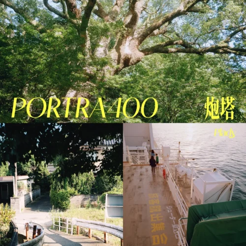 Bản Remake Bộ Màu Porta 400 LUT & LR Profile: Bản Tinh Chỉnh Tone Nhật Bản SP Và Vintage HS (XMP/CUBE)