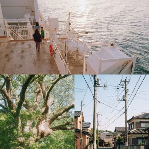 Bộ LUT STK Lấy Cảm Hứng Kodak Portra 400 – Porta 400 LUT & LR Profile: Tone Nhật Bản SP Và Vintage HS (XMP/CUBE)