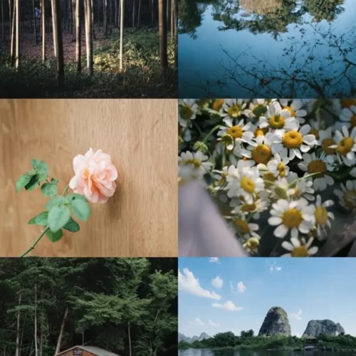 Bộ Preset STK & Real-time LUTs Giả Lập Hệ Màu Máy Ảnh Đường Phố Siêu Phẩm