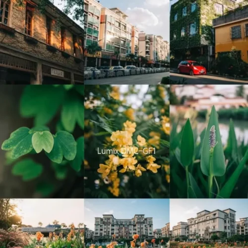 Bộ LUT Điện Ảnh Luts Đặc Chủng – Giải Pháp Đồng Bộ Giữa Giám Sát Thân Máy Và Hậu Kỳ Chuyên Sâu (CUBE)